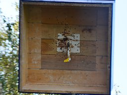 Kreiskönigsschießen 2016