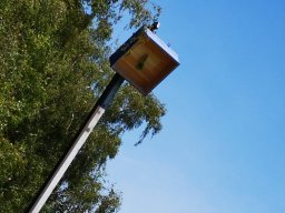 Schützenfest 2019, Montag